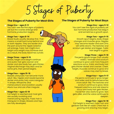 young pussies|Stages of Puberty for Girls: What to Expect .